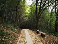 -西湖风景区十里琅珰-五云山