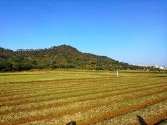 -风云岭森林公园