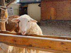 -HERRE·FARM 赫尔露营农场·团建聚会包场