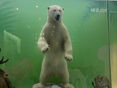 -国家自然博物馆