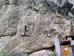 -王顺山国家森林公园