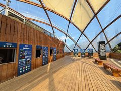 -怀托摩萤火虫洞