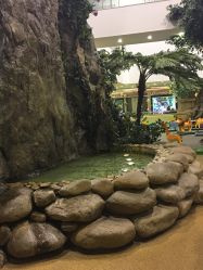 -卡通尼·Safari非洲探索乐园·生日会(金桥国际商业广场店)