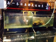 -鱼酷活鱼烤鱼(恒隆广场店)