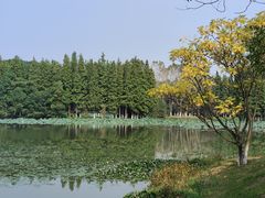 -艾溪湖湿地公园