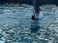 -秦皇岛新澳海底世界