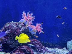 -成都浩海立方海洋公园