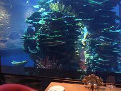 -迪拜帆船酒店海底餐厅