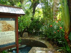 -三亚珠江南田温泉度假区