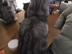 -平行世界·猫咖(首经贸店)