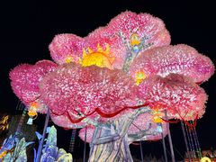 -淄博花灯齐彩城