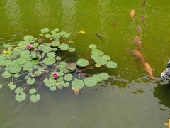 -嘉兴清池酒店温泉