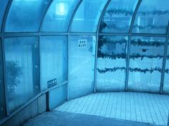 -特佳游泳馆(特佳中心店)