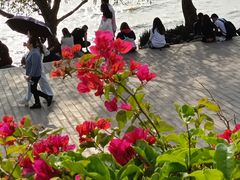 -宝安西湾红树林湿地公园