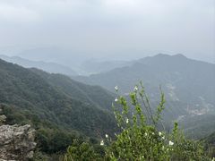 -午潮山国家森林公园