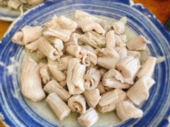 羊肚仁-金生隆(六铺炕店)