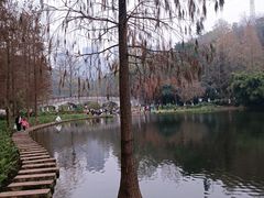 -重庆彩云湖湿地公园