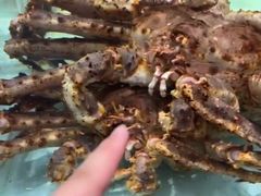 -万龙洲海鲜(大兴绿地缤纷城店)