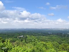 -海口火山口国家地质公园