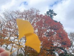 -北海道神宫