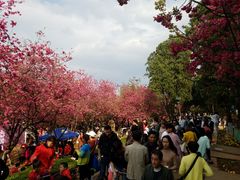 -昆明动物园