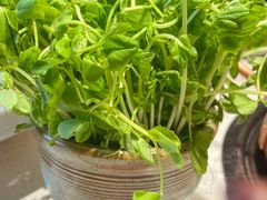 -牛村来人潮汕牛肉火锅(西单店)