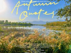 -野鸭湖国家湿地公园