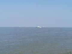 -上海滨江森林公园
