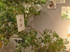 -时光花园(白鹭洲店)