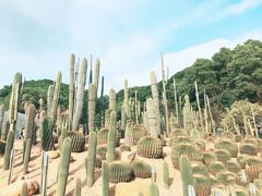 -深圳仙湖植物园