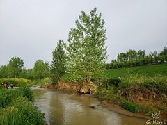 -洨河生态公园