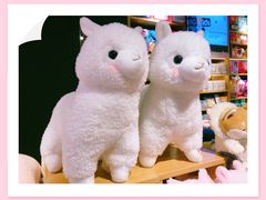 -九木杂物社(凯德西直门店)