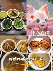 -巍阁高端月子会所