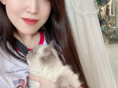 -喵喵咪呀布偶猫咖(春熙路店)