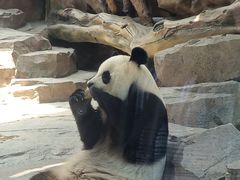 -宁波野生动物园