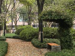 -大关公园