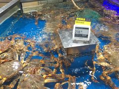 海鲜-盒马鲜生(悦峰店)