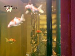 大堂-琴寿司居酒屋(中山广场店)