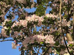 -天津市和平区哈密道小学