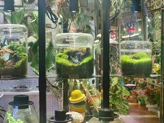 -Bioloark生物方舟生态礼品店