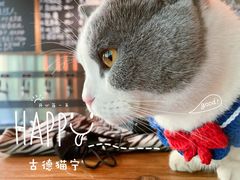 -后院儿·精酿·塔罗Happy Bar