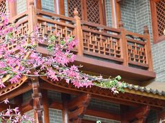 -越秀西湖花市(广州城市广场花卉店)