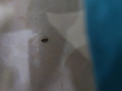 -祥龍斋清真食府