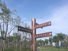 -春花秋色城市公园