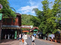 -野象谷景区