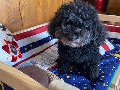 -星巴克(绵阳涪城凯德店)