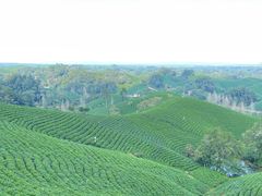 -信阳灵山风景区