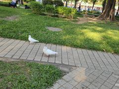 -顺峰山公园