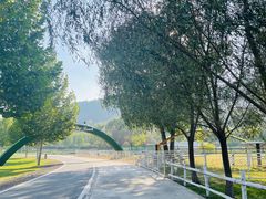 -大连铭湖国际观光牧场