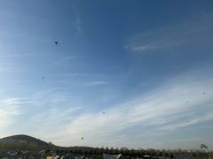 -君乐宝优致牧场